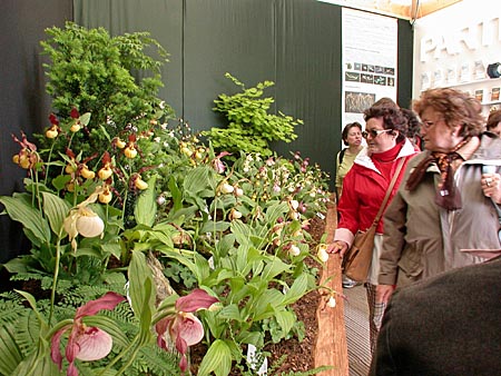German Garden Show, Munich 2005 German Garden Show, Munich 2005