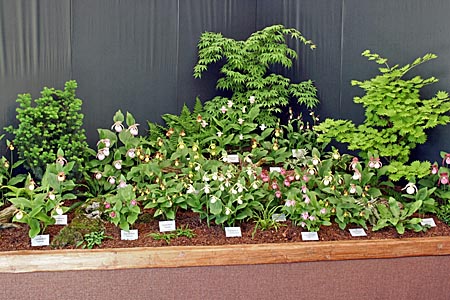 German Garden Show, Munich 2005