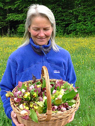 A flower basket with lady's slippers!