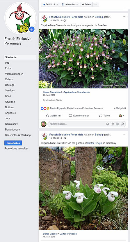 The Facebook page of Frosch® Exclusive Perennials