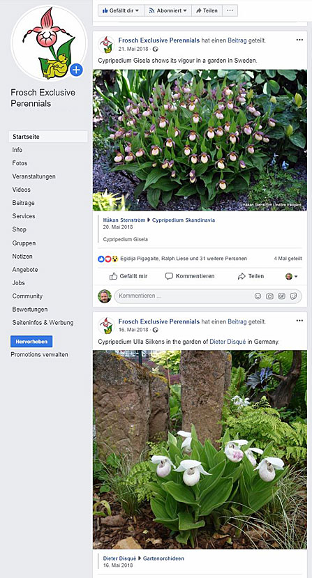 Die Facebook-Seite von Frosch® Exklusivstauden