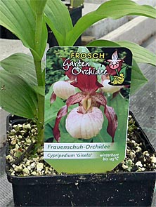 Pot tag with the trade mark Frosch® Pot tag with the trade mark Frosch®