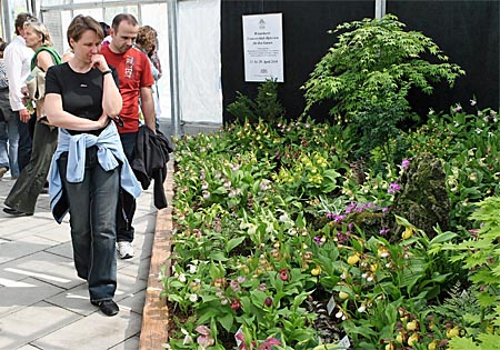 Bavarian garden show, Rosenheim 2010