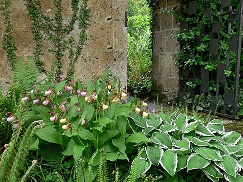 Garden example