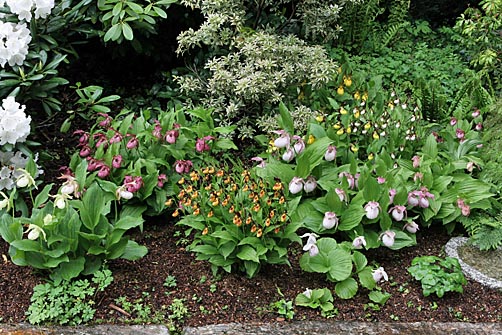 Garden example