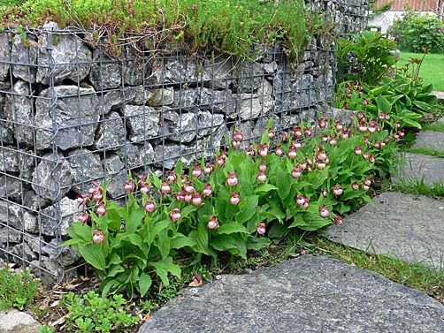 Garden example