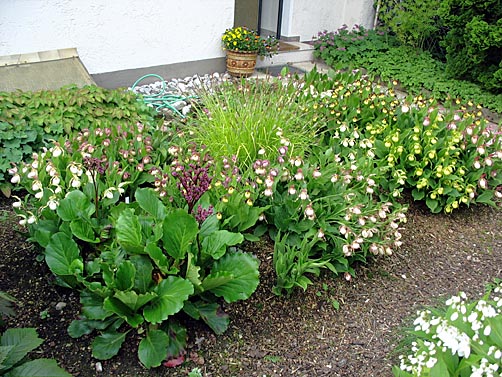 Gartenbeispiel